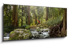 Obraz s hodinami   forest waterfall, 120 x 50 cm