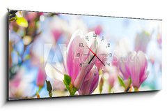 Obraz s hodinami 1D panorama - 120 x 50 cm F_AB64325812 - Beautiful blossoming magnolia tree in the spring time