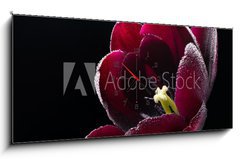 Obraz s hodinami 1D panorama - 120 x 50 cm F_AB64511912 - Wet purple-black tulip.