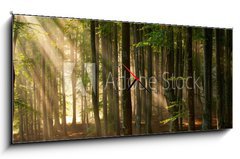 Obraz s hodinami 1D panorama - 120 x 50 cm F_AB64670682 - autumn forest trees. nature green wood sunlight backgrounds. - podzimn lesn stromy. proda zelen devo slunen svtlo pozad.