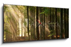 Obraz s hodinami 1D panorama - 120 x 50 cm F_AB64670682 - autumn forest trees. nature green wood sunlight backgrounds. - podzimní lesní stromy. příroda zelené dřevo sluneční světlo pozadí.