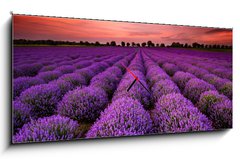 Obraz s hodinami 1D panorama - 120 x 50 cm F_AB64900250 - Stunning landscape with lavender field at sunset