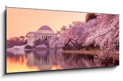 Obraz s hodinami 1D - 120 x 50 cm F_AB64932334 - the Jefferson Memorial during the Cherry Blossom Festival