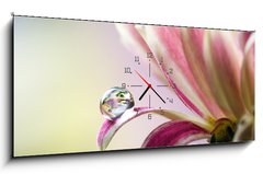 Obraz s hodinami   Flower, 120 x 50 cm