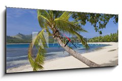 Obraz s hodinami 1D panorama - 120 x 50 cm F_AB65416367 - Tropical Paradise - Fiji - South Pacific Ocean - Tropický ráj