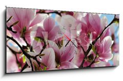 Obraz s hodinami   Magnolia tree blossom, 120 x 50 cm