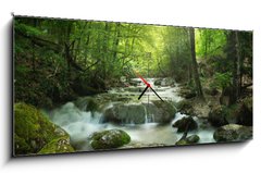 Obraz s hodinami   forest waterfall, 120 x 50 cm