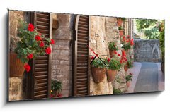 Obraz s hodinami 1D panorama - 120 x 50 cm F_AB66065276 - Vicolo con fiori