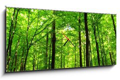 Obraz s hodinami 1D panorama - 120 x 50 cm F_AB66883526 - forest