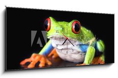 Obraz s hodinami 1D panorama - 120 x 50 cm F_AB6752978 - frog closeup on black - žába detailní na černé