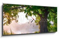 Obraz s hodinami 1D - 120 x 50 cm F_AB67675896 - Oak tree in full leaf in summer standing alone - Dub v plném listu v létě stojící sám