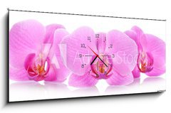 Obraz s hodinami 1D panorama - 120 x 50 cm F_AB67865693 - The orchid flowers - Květiny orchidejí