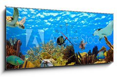 Obraz s hodinami 1D panorama - 120 x 50 cm F_AB68530036 - underwater panorama of a tropical reef in the caribbean - podvodní panorama tropického útesu v Karibiku