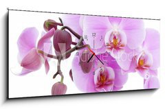 Obraz s hodinami 1D panorama - 120 x 50 cm F_AB6889647 - Violet orchid - Fialová orchidej