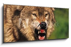 Obraz s hodinami 1D panorama - 120 x 50 cm F_AB69348071 - Snarling Wolf