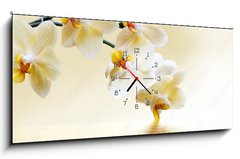 Obraz s hodinami 1D panorama - 120 x 50 cm F_AB69934293 - Beautiful white orchid - Krásná bílá orchidej