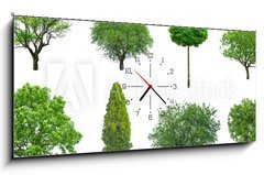 Obraz s hodinami 1D - 120 x 50 cm F_AB70577212 - tree
