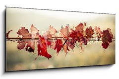 Obraz s hodinami 1D - 120 x 50 cm F_AB70603300 - Foglie di vite in autunno - Foglie di vite v autunně