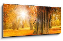 Obraz s hodinami 1D panorama - 120 x 50 cm F_AB71135258 - golden october - zlat jen