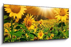 Obraz s hodinami 1D panorama - 120 x 50 cm F_AB7160083 - Sunflowers