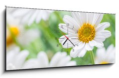 Obraz s hodinami 1D panorama - 120 x 50 cm F_AB71635240 - naure power