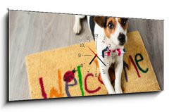 Obraz s hodinami 1D panorama - 120 x 50 cm F_AB73116832 - Cute dog posing on the carpet