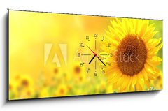 Obraz s hodinami 1D - 120 x 50 cm F_AB76362209 - Sunflowers - Slunečnice