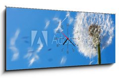 Obraz s hodinami 1D panorama - 120 x 50 cm F_AB7711607 - Dandelion Flying Seeds - Pampeliška Létající semena