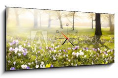 Obraz s hodinami 1D - 120 x 50 cm F_AB78313786 - abstract sunny beautiful Spring background - abstraktní slunné krásné jarní pozadí