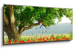 Obraz s hodinami   Poppy s field and big green tree, 120 x 50 cm