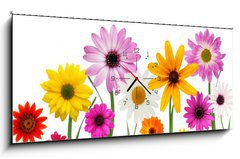 Obraz s hodinami 1D panorama - 120 x 50 cm F_AB7866722 - Summer daisies