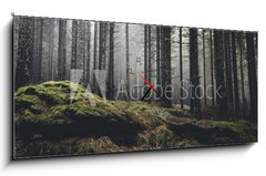 Obraz s hodinami   wilderness landscape forest with pine trees and moss on rocks, 120 x 50 cm