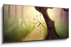 Obraz s hodinami 1D panorama - 120 x 50 cm F_AB79255911 - Forest pathway
