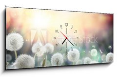 Obraz s hodinami 1D - 120 x 50 cm F_AB79562753 - field of dandelion in sunset - bokeh and allergy