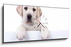 Obraz s hodinami 1D - 120 x 50 cm F_AB80290428 - Puppy dog holding sign or banner isolated