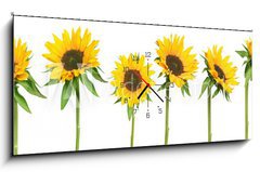 Obraz s hodinami 1D panorama - 120 x 50 cm F_AB814278 - sunflowers - slunenice
