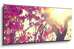 Obraz s hodinami   Spring blossom. Beautiful nature scene with blooming tree, 120 x 50 cm
