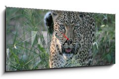 Obraz s hodinami 1D panorama - 120 x 50 cm F_AB8415986 - leopard