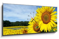 Obraz s hodinami 1D panorama - 120 x 50 cm F_AB8672115 - Tournesols