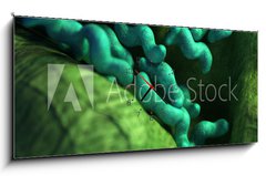 Obraz s hodinami 1D panorama - 120 x 50 cm F_AB87073278 - medical bacteria illustration of the campylobacter - lékařské bakterie ilustrace kampylobaktera