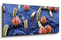 Obraz s hodinami 1D panorama - 120 x 50 cm F_AB89000179 - Bacteria and viruses on surface of skin, mucous membrane or intestine, model of MERS, HIV, flu, Escherichia coli, Salmonella, Klebsiella, Legionella, Mycobacterium tuberculosis, model of microbes