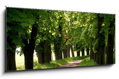 Obraz s hodinami   waldweg, 120 x 50 cm