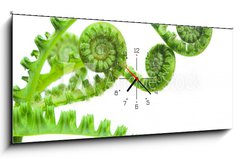 Obraz s hodinami 1D panorama - 120 x 50 cm F_AB8942072 - fern - kapradina