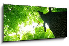 Obraz s hodinami 1D panorama - 120 x 50 cm F_AB9016603 - green leaves - zelené listy