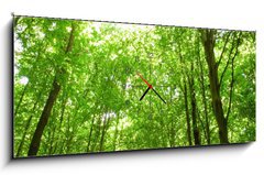 Obraz s hodinami 1D panorama - 120 x 50 cm F_AB9130682 - sunlight in trees of green forest