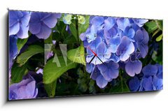 Obraz s hodinami 1D panorama - 120 x 50 cm F_AB9180840 - hortensia