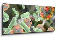 Obraz s hodinami 1D panorama - 120 x 50 cm F_AB92014317 - Bacteria and viruses (Hepatitis A virus) on colorful background. Medical background. Healthcare background