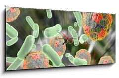 Obraz s hodinami 1D panorama - 120 x 50 cm F_AB92014317 - Bacteria and viruses (Hepatitis A virus) on colorful background. Medical background. Healthcare background - Bakterie a viry (virus hepatitidy A) na barevném pozadí. Lékařské vzdělání. Pozadí zdravotní péče