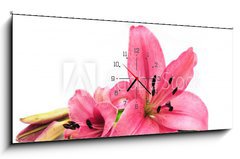 Obraz s hodinami 1D panorama - 120 x 50 cm F_AB9265067 - Pink lily - Růžová lilie