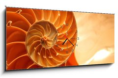 Obraz s hodinami   Split nautilus seashell showing inner float chambers, 120 x 50 cm